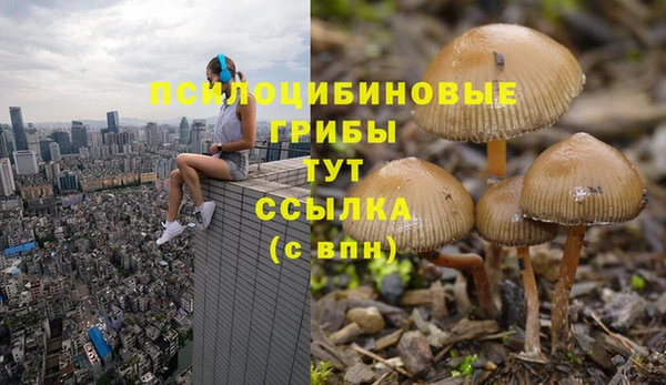 MDMA Богородицк