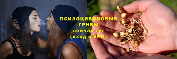 дживик Богданович