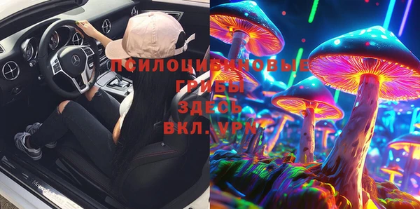 дживик Богданович