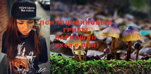 кристаллы Богородск