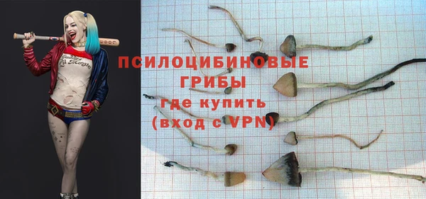 дживик Богданович